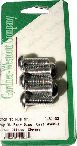 Rear Brake Rotor Allen Bolts (chrome)