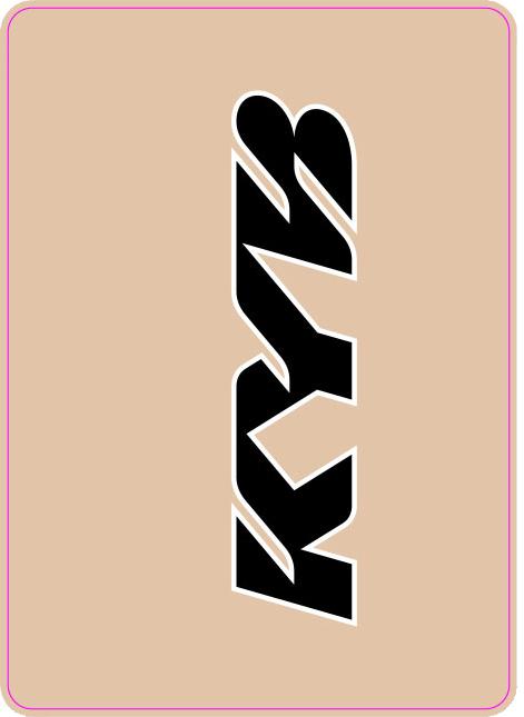 Fork Tube Graphic (kyb)