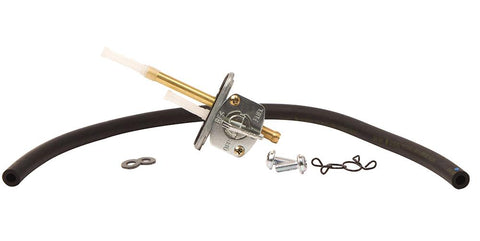 Fuel Valve