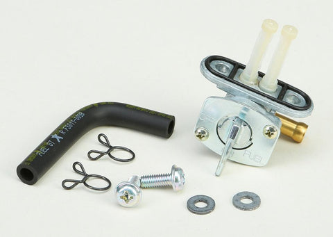 Fuel Valve