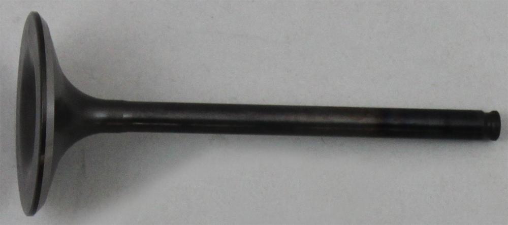 Intake Valve- Trx450r'04- '05